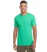 Next Level 3600 T-Shirt in Kelly green front view