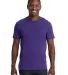 Next Level 3600 T-Shirt in Purple rush front view