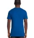 Next Level 3600 T-Shirt in Cool blue back view