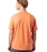 Alternative Apparel 1070 Unisex Go-To T-Shirt in Pumpkin back view