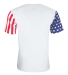 Code V 3976 Men's Stars & Stripes T-Shirt in Stars/ stripes back view