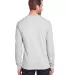 Fruit of the Loom IC47LSR Adult ICONIC™ Long Sle OATMEAL HEATHER back view