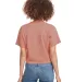 Next Level Apparel 1580 Ladies' Ideal Crop T-Shirt in Desert pink back view