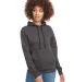 Next Level Apparel 9302 Unisex Malibu Pullover Hooded Sweatshirt Catalog catalog view