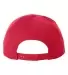 Yupoong-Flex Fit 6089M Adult 6-Panel Structured Fl RED back view