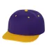 Yupoong-Flex Fit 6089M Adult 6-Panel Structured Fl PURPLE/ GOLD front view