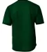 A4 Apparel NB3172 Youth Match Reversible Jersey in Forest/ white back view