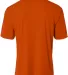 A4 Apparel N3402 Men's Sprint Performance T-Shirt in Athletic orange back view