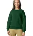 Gildan SF000 Adult Softstyle® Fleece Crew Sweatshirt Catalog catalog view