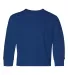 Jerzees 29BLR Youth DRI-POWER® ACTIVE Long-Sleeve ROYAL front view