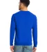 Alternative Apparel 9575ZT Unisex Washed Terry Cha in Royal back view