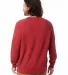 Alternative Apparel 9575ZT Unisex Washed Terry Cha in Faded red back view