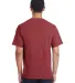 Hanes GDH100 Men's Garment-Dyed T-Shirt in Cayenne back view