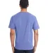 Hanes GDH100 Men's Garment-Dyed T-Shirt in Deep forte back view