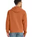 Hanes GDH450 Unisex Pullover Hooded Sweatshirt in Texas orange back view