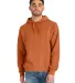Hanes GDH450 Unisex Pullover Hooded Sweatshirt in Texas orange front view