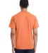 Hanes GDH150 Unisex Garment-Dyed T-Shirt with Pock in Horizon orange back view