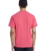 Hanes GDH150 Unisex Garment-Dyed T-Shirt with Pock in Crimson fall back view