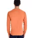 Hanes GDH250 Unisex Garment-Dyed Long-Sleeve T-Shi in Horizon orange back view