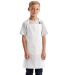 Artisan Collection by Reprime RP149 Youth Apron Catalog catalog view