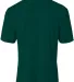 A4 Apparel N3402 Men's Sprint Performance T-Shirt in Forest back view