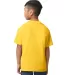Gildan 65000B Youth Softstyle Midweight T-Shirt in Daisy back view