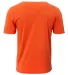 A4 Apparel N3013 Adult Softek T-Shirt in Athletic orange back view