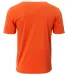 A4 Apparel NB3013 Youth Softek T-Shirt in Athletic orange back view