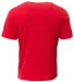 A4 Apparel NB3013 Youth Softek T-Shirt in Scarlet back view