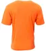A4 Apparel NB3013 Youth Softek T-Shirt in Safety orange back view