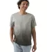 Champion Clothing CD100D Unisex Classic Jersey Dip Dye T-Shirt Catalog catalog view