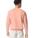Comfort Colors 1466 Unisex Lighweight Cotton Crewn in Peachy back view