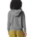 Comfort Colors 1467 Unisex Lighweight Cotton Hoode in Grey back view