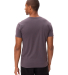 Threadfast Apparel 180A Unisex Ultimate T-Shirt in Coal back view