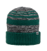 J America 5000 Adult Echo Knit Cap in Forest front view