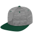 J America 5509 Adult Backstop Cap in Forest front view