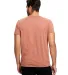 US Blanks US2000 Men's Made in USA Short Sleeve Cr in Cinnamon back view