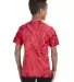 Tie-Dye CD101Y Youth 5.4 oz. 100% Cotton Spider T- SPIDER RED back view