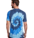 Tie-Dye CD1090 Adult Burnout Festival T-Shirt in Sea back view