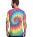 Tie-Dye CD1090 Adult Burnout Festival T-Shirt RAINBOW back view