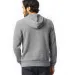 Alternative Apparel 9595F2 Pullover Hoodie in Eco grey back view