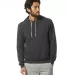 Alternative Apparel 9595F2 Pullover Hoodie in Eco black front view