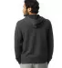 Alternative Apparel 9595F2 Pullover Hoodie in Eco black back view