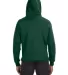 J. America - Sport Lace Hooded Sweatshirt - 8830 FOREST GREEN back view
