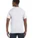 5250 Hanes Authentic Tagless T-shirt in White back view