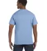 5250 Hanes Authentic Tagless T-shirt in Light blue back view