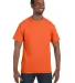 5250 Hanes Authentic Tagless T-shirt in Athletic orange front view