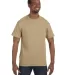 5250 Hanes Authentic Tagless T-shirt in Pebble front view