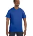 5250 Hanes Authentic Tagless T-shirt in Deep royal front view