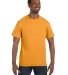 5250 Hanes Authentic Tagless T-shirt in Gold front view